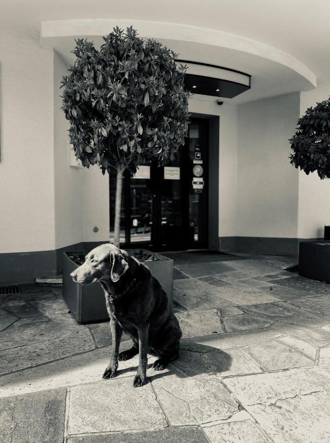 Hotel Murten Buitenkant foto